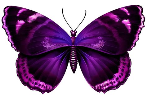 Purple Butterfly Cliparts Free Download On Clipartmag