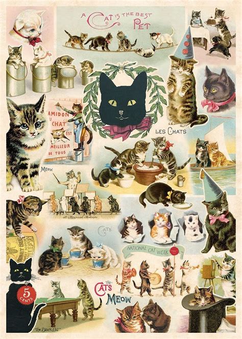 Cavallini Decorative Wrap Poster Cat X Inch Italian Archival