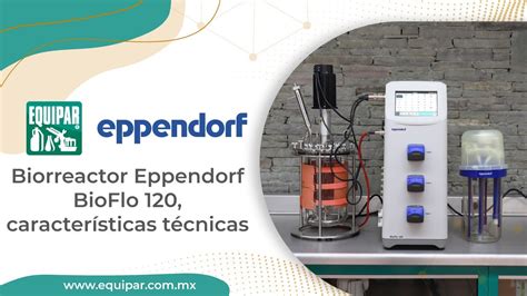 Biorreactor Eppendorf Bioflo Caracter Sticas T Cnicas Youtube