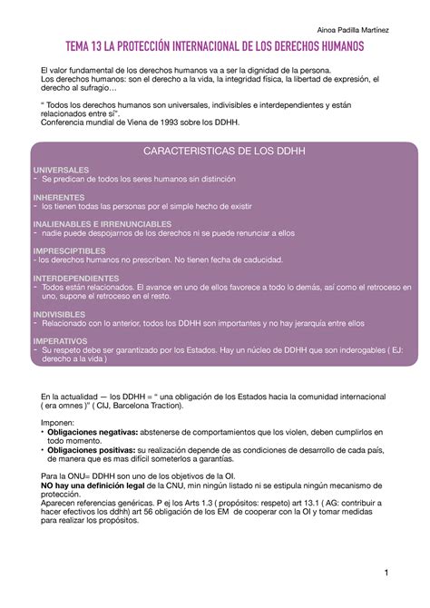 DIP TEMA 13 apuntes TEMA 13 LA PROTECCIÓN INTERNACIONAL DE LOS