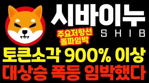 시바이누 Shib 토큰소각 900 이상 대상승 폭등 임박했다 영상 무조건 시청하세요 Youtube