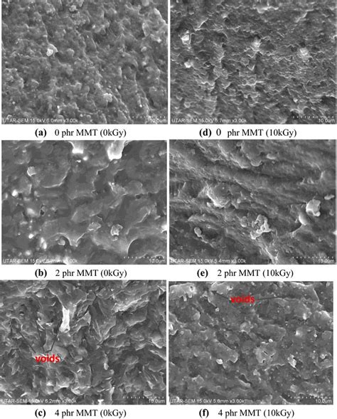 SEM Micrographs At 3000X Magnification Of Fractured Surface For Ac