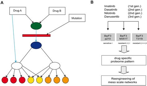 Figure From Combination Of A Proteomics Approach And Reengineering Of