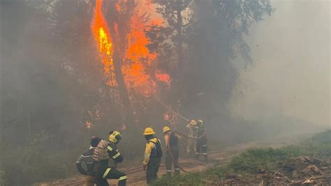 Disminuyó A 17 El Número De Incendios Activos En Colombia Cundinamarca Y Huila Las Regiones