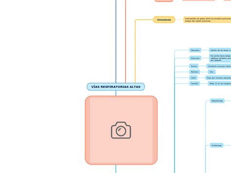 V As Respiratorias Altas Mind Map