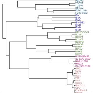 Phylogenetic Tree Of The 111 HRVs And 3 HEV Cs Constructed By FEGS