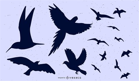 Birds Flying Group And Separately Vector Download