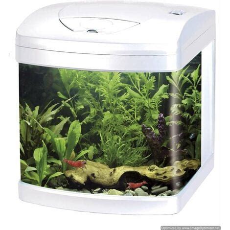 Acquario Con Vetro Frontale Curvo Xcube 26 Led Bianco 31x32x37h Cm