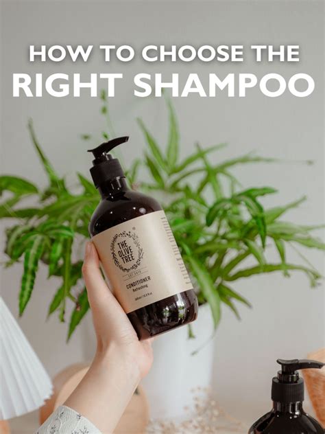 How To Choose The Right Shampoo For Your Hair Type And Scalp Condition The Olive Tree