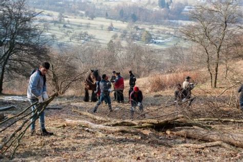 Auch Mit Fl Chtlingen Und R Ckepferd Bei Der Heidepflege Schw Bischer