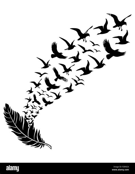 Flying Birds Vector Png