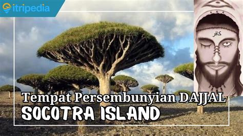 Socotra Pulau Unik Di Yaman Yang Dianggap Tempat Misterius Di Bumi