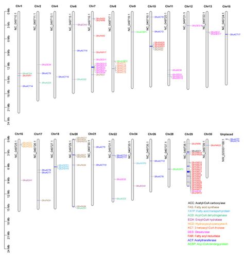 Insects Free Full Text Genome Wide Identification And Expression