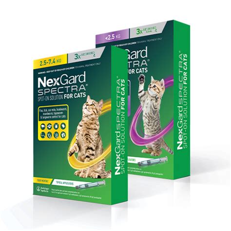 Nexgard For Cats How To Apply