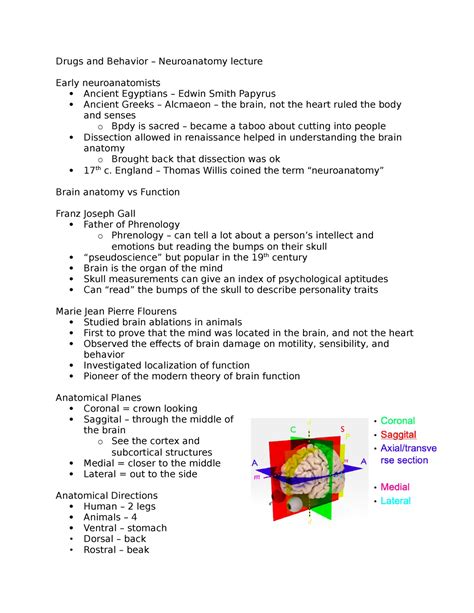 Drugs And Behavior Neuroanatomy Lecture Drugs And Behavior