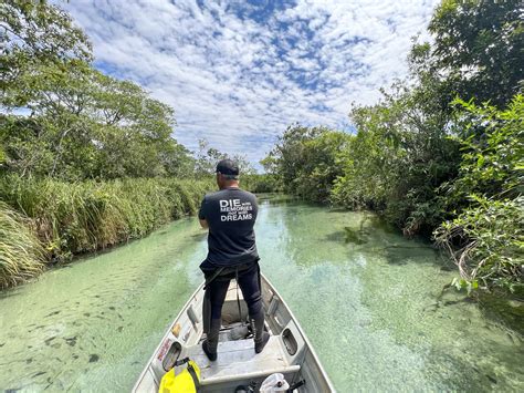 A Month and a half of Adventures... From Anacondas to Right Whales!tem