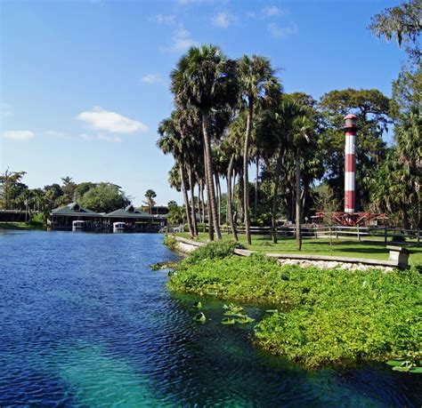 Silver Springs, Ocala #silversprings #ocala #florida | Florida girl, Silver springs, Florida