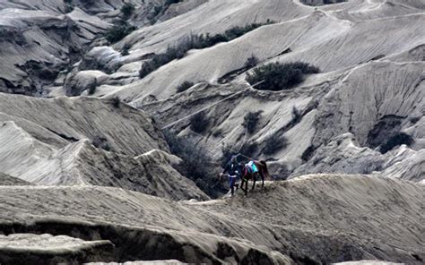 Wisata Bromo Dan Pendakian Semeru Kembali Dibuka Setelah Ditutup Pada