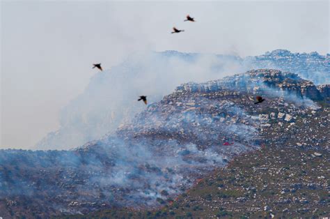 Photos: Massive Cape Town Fire Forces Residents To Evacuate Homes