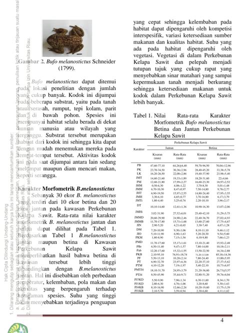 Variasi Morfometrik Bufo Melanostictus Schneider Di Kawasan