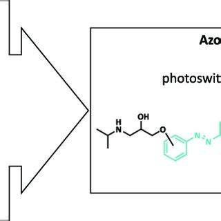 Design Of Propranolol Based Photoswitchable Inhibitors Of The B 2 AR