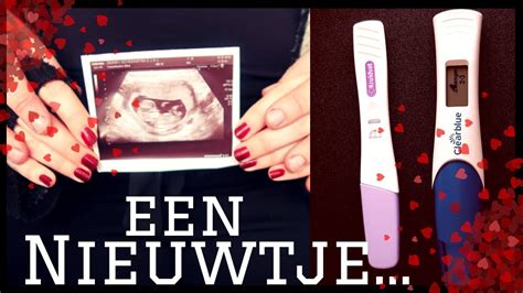 Omg Ik Ben Zwanger 👶🏻♡ Eerste Trimester En Vertellen Aan Ouders Etc