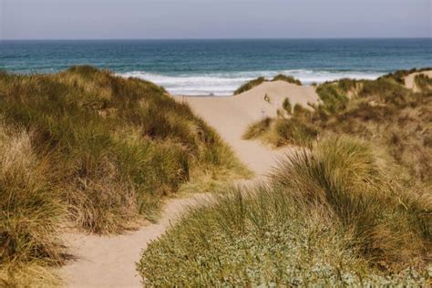 Point Reyes Beaches: The Best in Marin County, CA