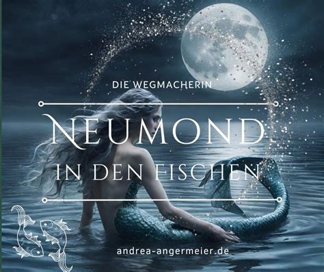 Neumond In Den Fischen Andrea Angermeier