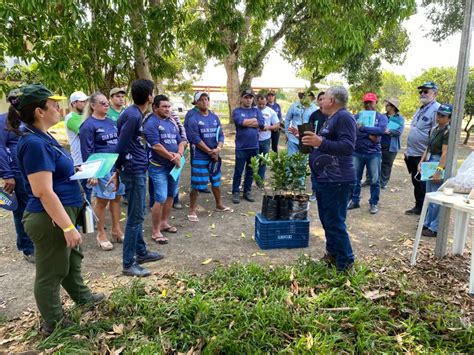 Capacita Es T Cnicas Aos Agricultores Familiares Ser O Ampliadas Neste