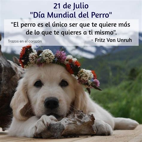 De Julio D A Mundial Del Perro El Perro Es El Nico Ser Que Te