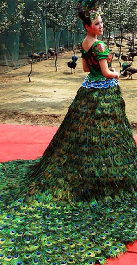 Peacock Design Dress | Dresses Images 2022