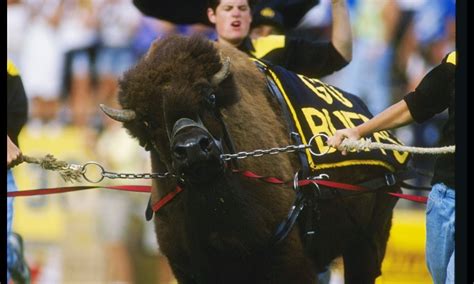 Photos Colorado Buffaloes Season Openers Through The Years