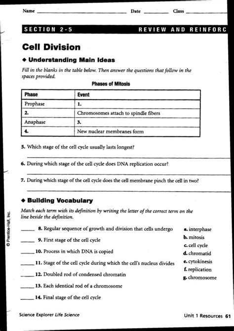 20 Cells Alive Cell Cycle Worksheet Answer Key Worksheets Decoomo