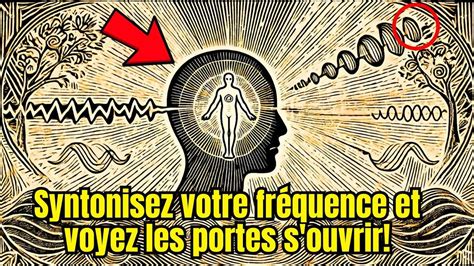 Comment Lever Votre Vibration Et Attirer Des Opportunit S De