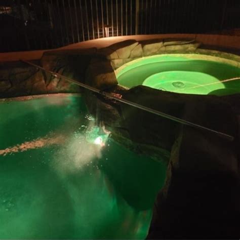 how much cya to add to pool