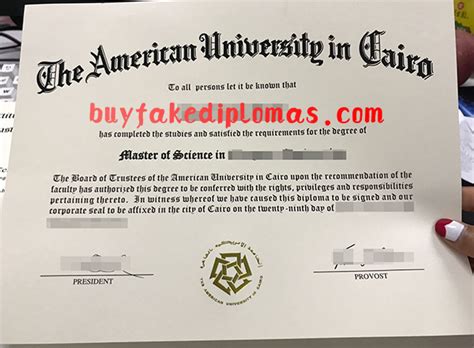 American University In Cairo Degree Buy Fake Diplomas High School