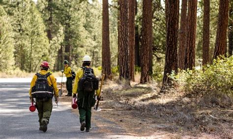 The Evolution of Wildland Firefighting