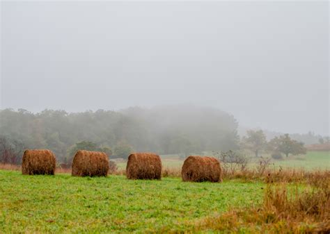 Warmest and Coldest January in Lunenburg County, Virginia History | Stacker