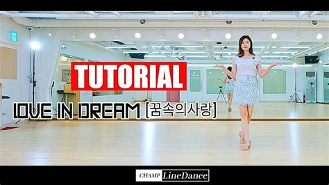 Love In Dream Linedance