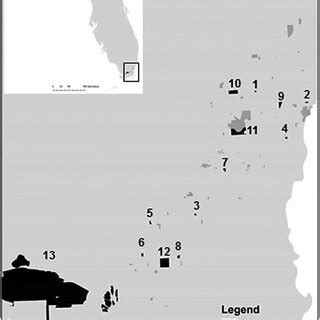 Map Of The Pine Rockland Habitat In Southern Florida Study Sites Shown