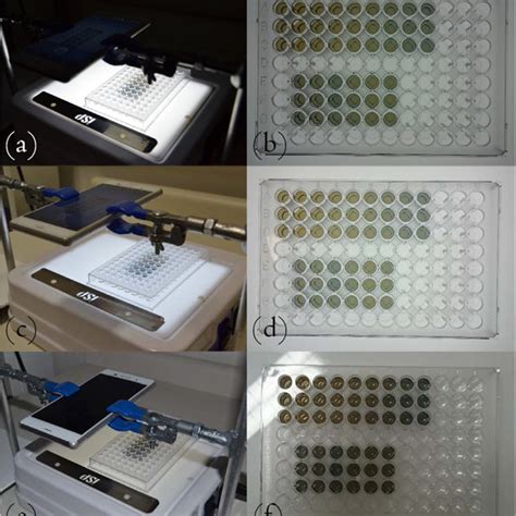 PDF Smartphone For Point Of Care Quantification Of Protein By