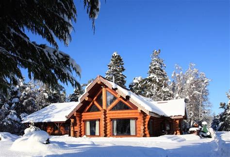 Mountain Bear Lodge Aviemore Highlands Cairngorms Winter Lodge Lodge