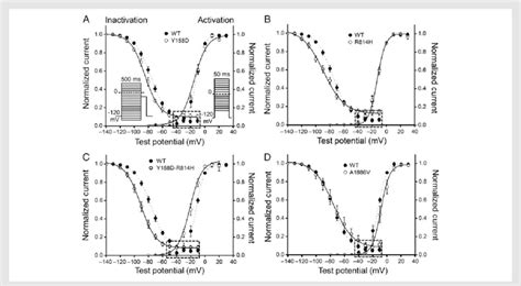 Voltage Dependence Of Activation And Inactivation For WT Nav1 8 And