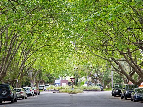 suburbs  buy    common