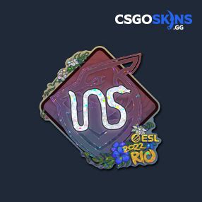 Sticker Ins Glitter Rio Csgoskins Gg