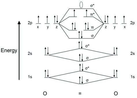 Oxygen Molecular Orbital Diagram