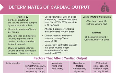 Cardiac Output And Index Free Cheat Sheet Lecturio