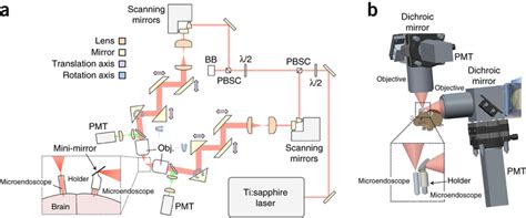 A Two Photon Microscope With Microendoscopes And Two Optical Axes For