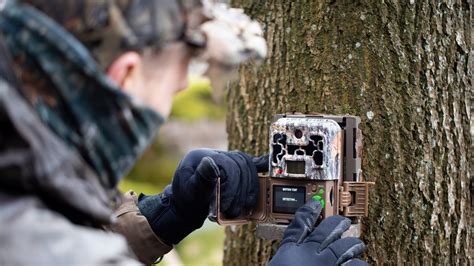 Delaware State Bans Recreational Trail Cams In State Parks And Forests