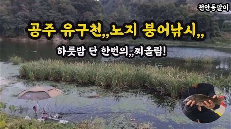 공주 유구천노지 붕어낚시211005 Youtube